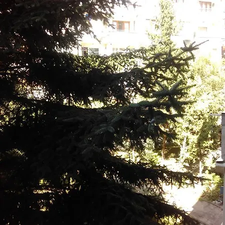 Apartament Апартаменты *